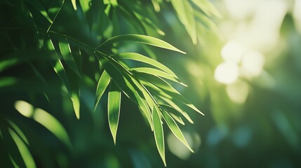 Close-up of green leaves with a blurred background, a spring nature banner concept