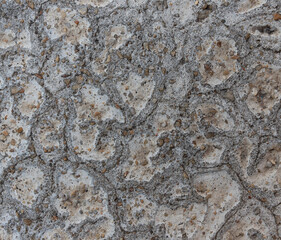 Texture of grey concrete wall for background.	
