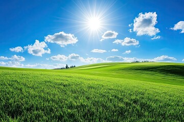Obraz premium During the summer, green grass stretches under a blue sky dotted with white clouds