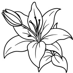 Obraz premium Lily flowers. Vector black and white contour drawing. Vector black and white contour drawing of lily flowers.