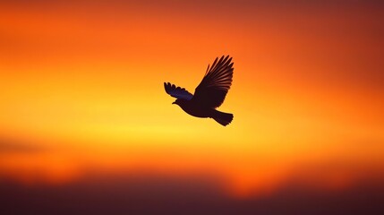 Obraz premium Silhouette Of A Bird Soaring In Sunset Sky