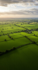 Emerald Fields: Aerial View of Lush Green Farmland at Sunset - Tranquil Landscape, Agriculture, and Rural Beauty