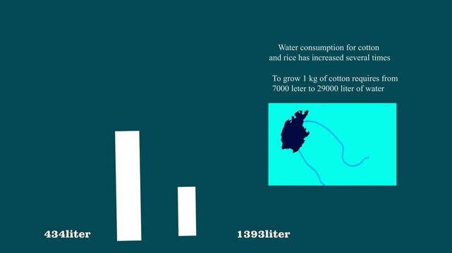 Project 1aral sea infographic animation