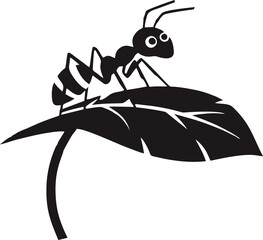 ant on a white background