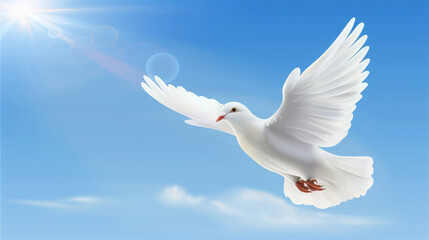 White dove flying in the sky