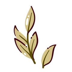 Obraz premium Coffee tree branch with leaves, twig and sprig, plants sprout. Hand drawn natural decorative design element of tea sprig green leaves, vector illustration.