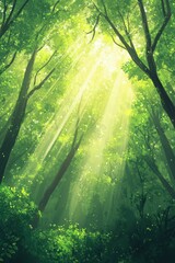Fototapeta premium Light filters through a lush forest canopy during daytime