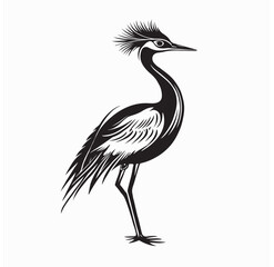 Fototapeta premium Jacana Bird Image Vector Illustration isolated on white background.