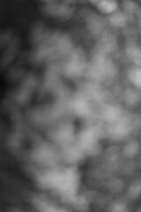 Monochrome Dreamscape: An Abstract Exploration of Light and Shadow Play