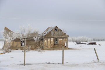 Winter Saskatchewan Scenery with animals, frost, fog, abandoned places, churches and more.