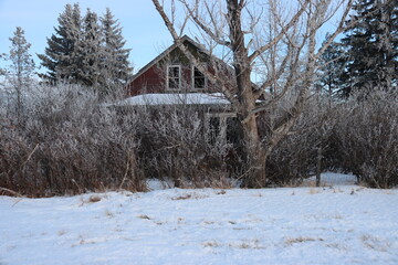 Winter Saskatchewan Scenery with animals, frost, fog, abandoned places, churches and more.