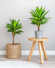 Two Potted Plants On Wooden Table In Light Gray Room