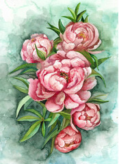 Large bouquet of peonies. Watercolor illustration. Handmade for creating a poster, postcard, invitation.