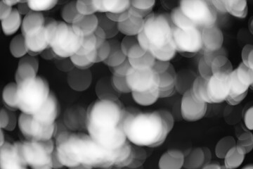 Abstract Monochrome Bokeh with Luminous Circular Highlights and Dark Backdrop