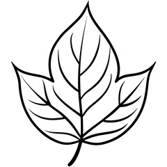 Abstract Foliage Line Art