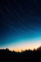 Star Trails Over Forest at Dawn