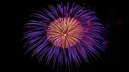 Colorful fireworks display lights up the night sky over the city during a festive celebration
