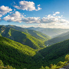 Obraz premium landscape with mountains