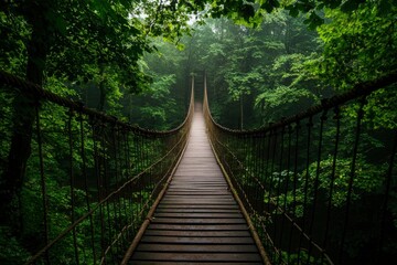 Fototapeta premium Misty Forest Rope Bridge; Tranquil Pathway Through Lush Trees; Scenic Hiking Trail; Ideal for Travel Photography