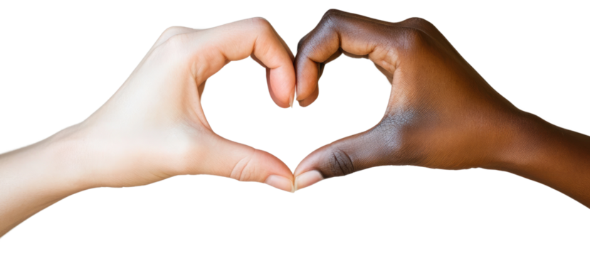 Black and white hands forming a heart shape on white or transparent background. Unity, love, diversity, and Valentine's Day concept for inclusivity and connection