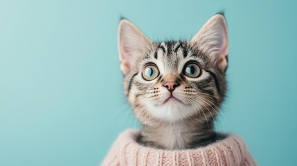 Adorable Tabby Kitten with Trusting Eyes Looking Up in a Cozy Sweater, Symbolizing Love and Emotional Security in a Gentle Embrace