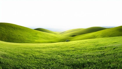 Obraz premium wide panorama of beautiful hilly meadow grass landscape isolated white background vibrant spring agriculture design pattern concept