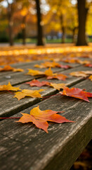 ** Autumn Serenity: Maple Leaves on Wood, Capturing the Beauty of Fall in a Park Setting.