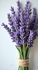 Obraz premium A bouquet of fresh lavender flowers displays vibrant purple hues, elegantly tied with natural twine against a light background