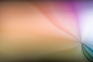 abstract gradient background. illustration soft underside of petal in pastel colors. stem in right bottom corner, paper, copy space
