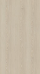 Fototapeta premium Whitewashed Wood Texture: Light Grain, Seamless Pattern, Natural Look, Rustic, Modern Design, Background, Surface, Floor, Furniture, Material