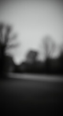 Ethereal Landscape: Blurred Visions of Nature's Quiet Beauty in Black and White, Evoking Solitude & Mystery. Abstract Photography.