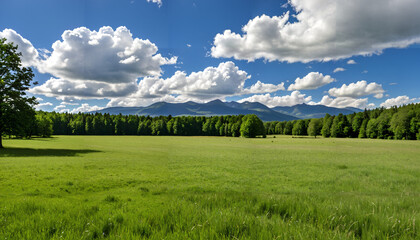 Le paysage verdoyant