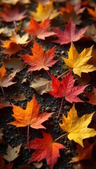 Fototapeta premium Crisp brown and orange maple leaves scattered on the ground , nature, picture