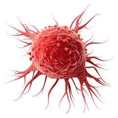 Red cancer cell isolated on a transparent background.