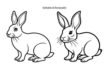 Rabbit, Rabbits, Rabbit outline, Rabbit line art, Rabbit vector