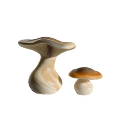 Fototapeta premium a couple of mushrooms sitting next to each other