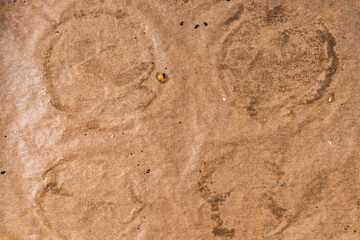 Background, a sheet of used cooking parchment, the texture of brown baking paper.