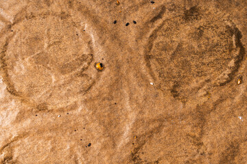 Background, a sheet of used cooking parchment, the texture of brown baking paper.