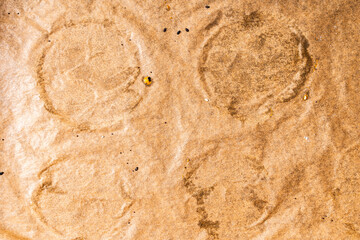 Background, a sheet of used cooking parchment, the texture of brown baking paper.