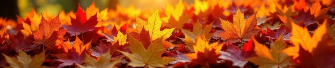 Pile of colorful autumn leaves, sunlight dappled, nature, leaf litter