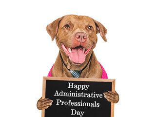 Happy Administrative Professionals Day. Cute dog and congratulatory inscription. Closeup, studio...