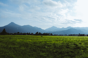 Górska polana © Mateusz