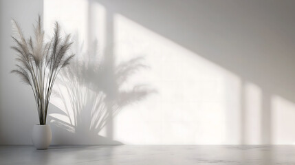 Minimalist White Interior with Pampas Grass and Soft Shadows