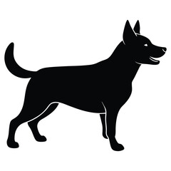 black dog isolated on white