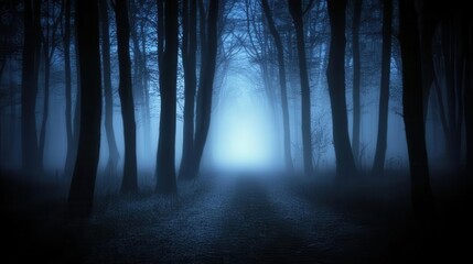 Forest background image showing a dark forest with tall trees and fog, illuminated by the soft glow of moonlight