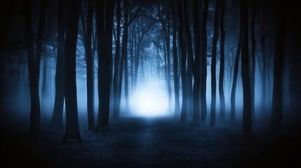 Forest background image showing a dark forest with tall trees and fog, illuminated by the soft glow of moonlight