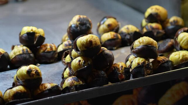 chestnut 