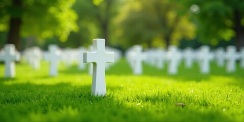 Serene Field of Simple White Crosses in a Lush Green Meadow Under Soft Sunlight