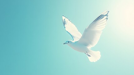 Seagull soars through bright blue sky with wings spread wide, creating minimalist composition with clean bright background and natural lighting in peaceful atmosphere.