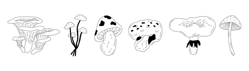 Cute Playful Autumn Mushroom Outline Doodle Illustration. Whimsical Fall Hand Drawn Art. Poisonous and Edible Mushrooms. Vector Stock Illustration